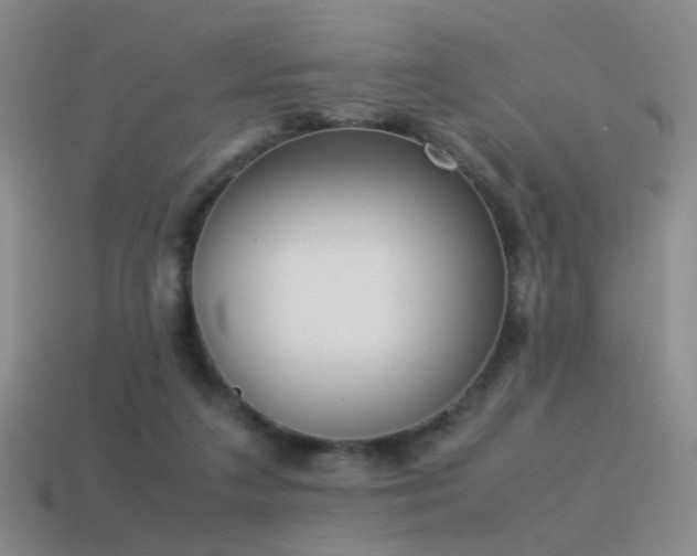 X0000115500211200911061334
