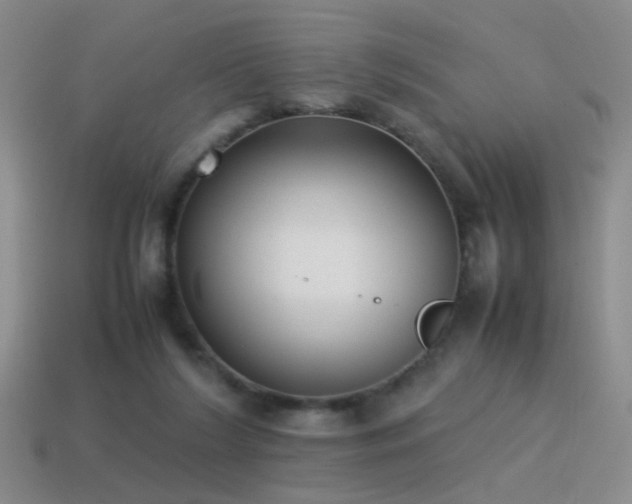 X0000115500212200911061334