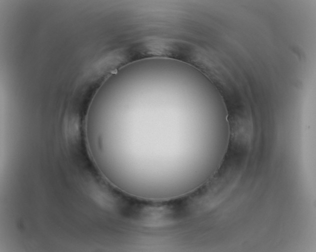 X0000115500213200911061334
