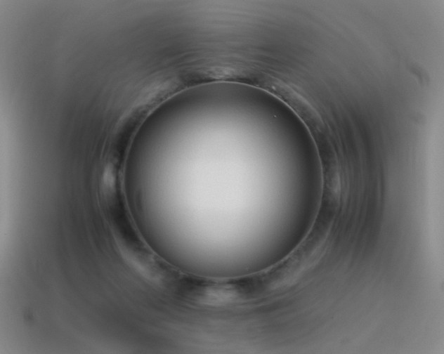 X0000115500214200911061334