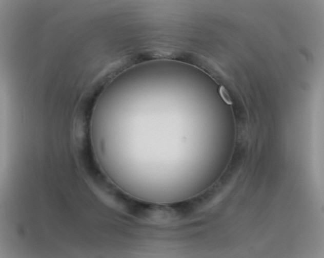 X0000115500215200911061334