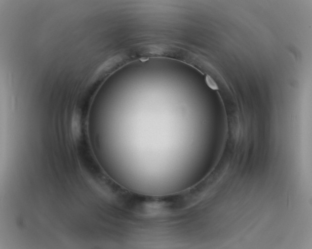 X0000115500216200911061334
