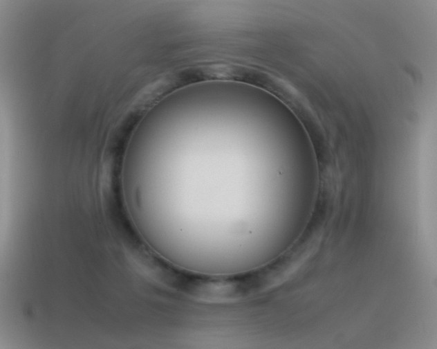 X0000115500217200911061334