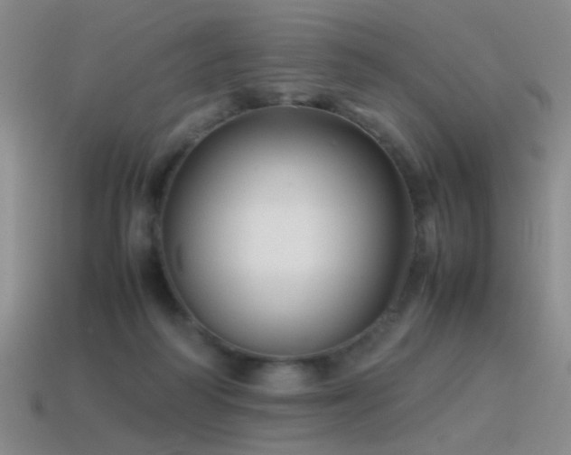 X0000115500218200911061334