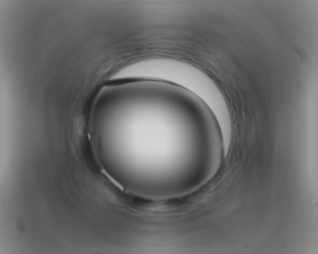 X0000115500219200911061334
