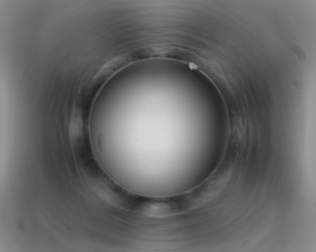 X0000115500220200911061334