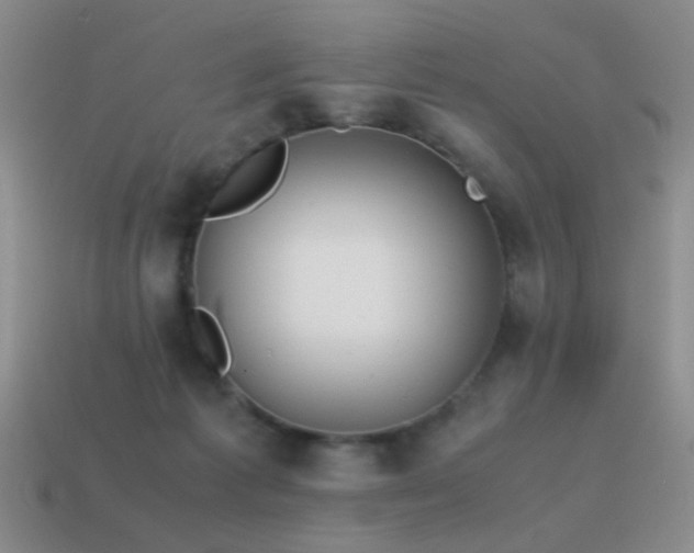 X0000115500221200911061334