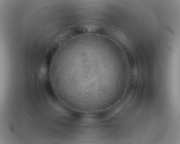 X0000115500222200911061334