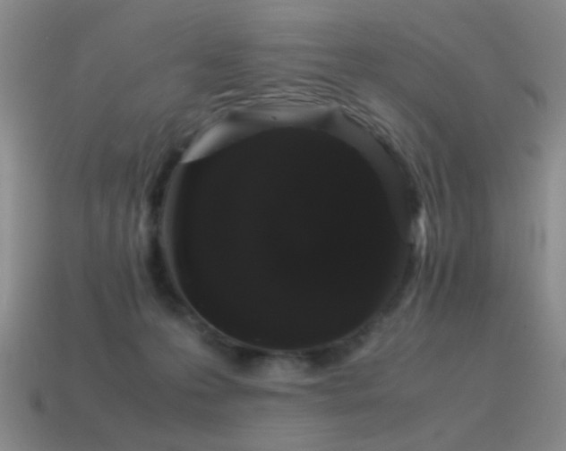 X0000115500223200911061334