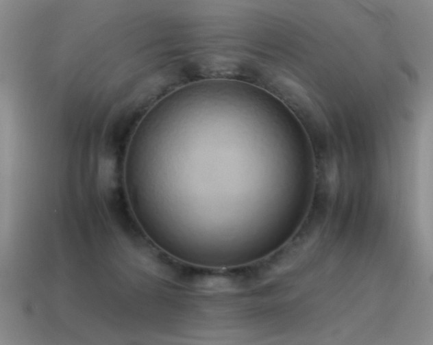 X0000115500224200911061334