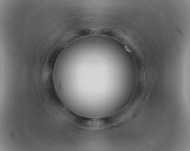 X0000115500225200911061334