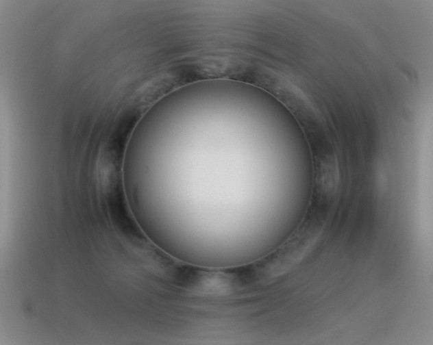 X0000115500226200911061334
