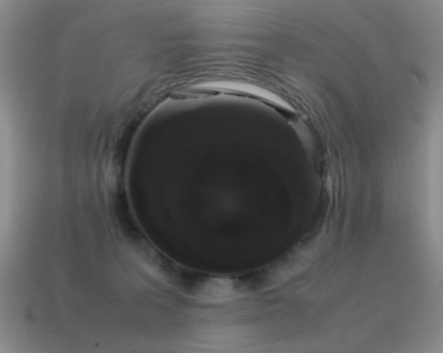 X0000115500227200911061334