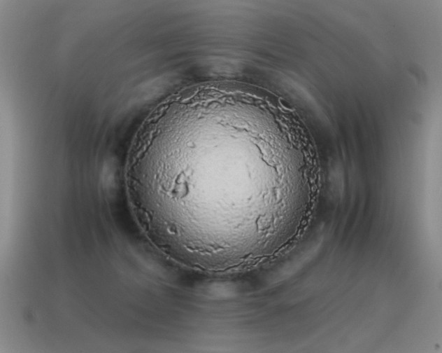 X0000115500228200911061334