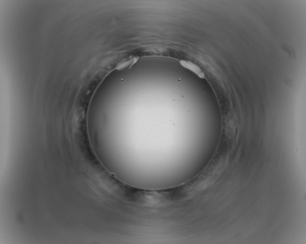 X0000115500229200911061334