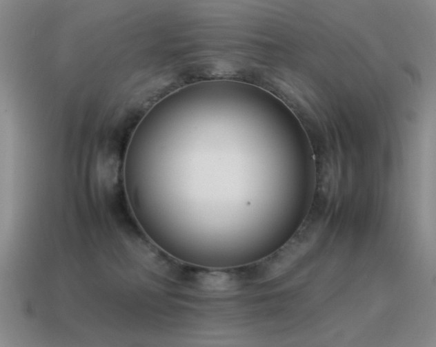 X0000115500230200911061334