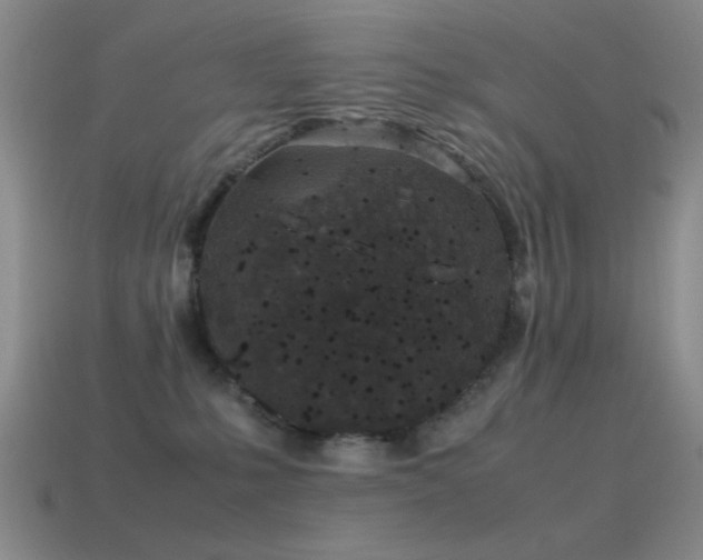 X0000115500231200911061334