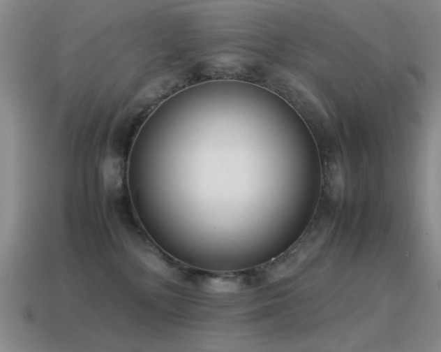 X0000115500232200911061334