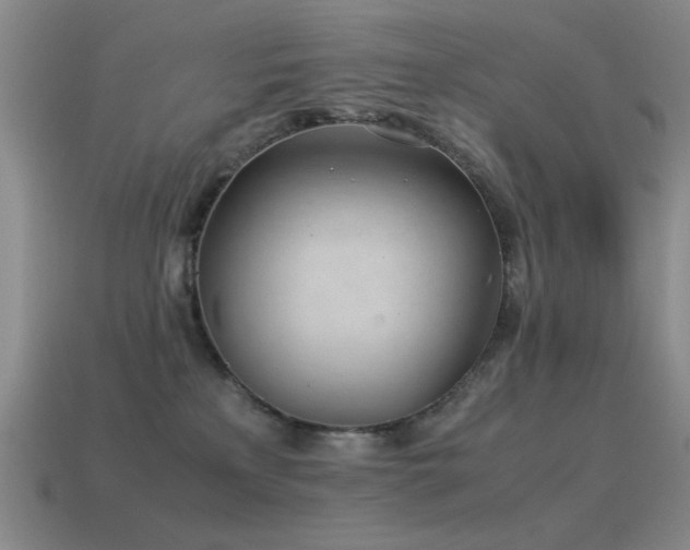 X0000115500233200911061334