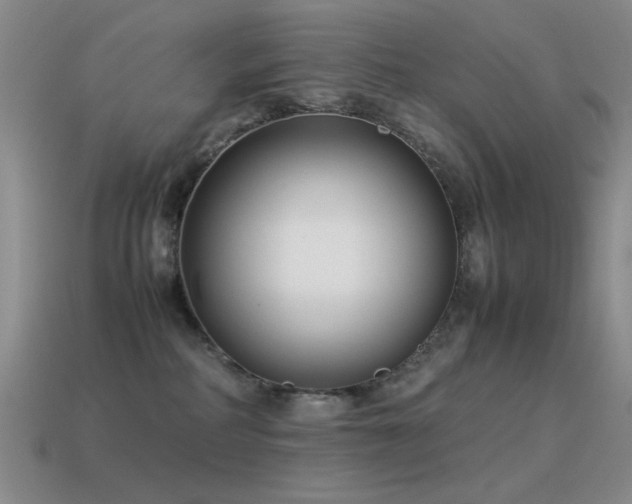 X0000115500234200911061334