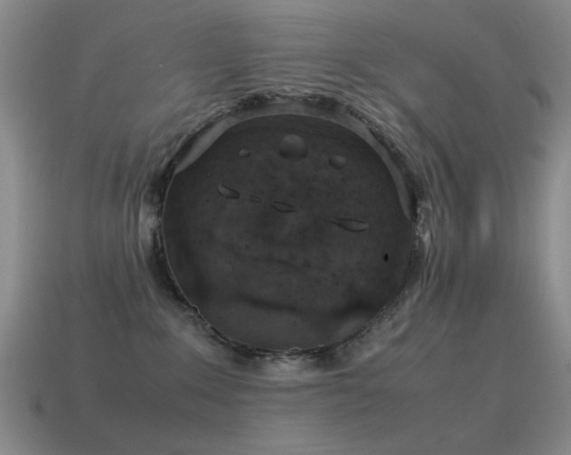 X0000115500235200911061334