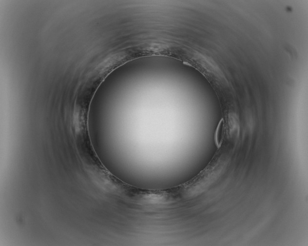 X0000115500236200911061334