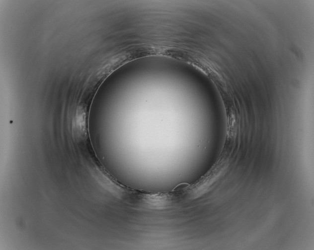 X0000115500238200911061333