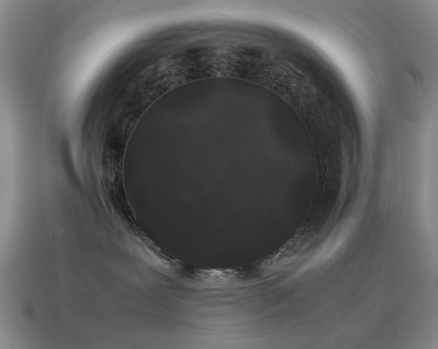 X0000115500239200911061333