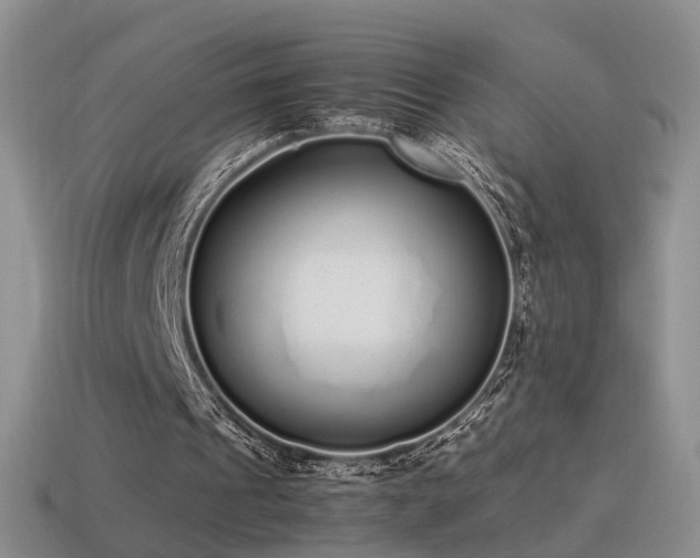 X0000115500241200911061333