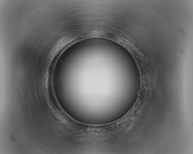 X0000115500242200911061333