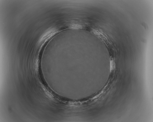 X0000115500243200911061333