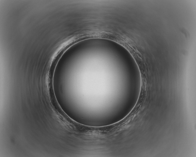 X0000115500244200911061333