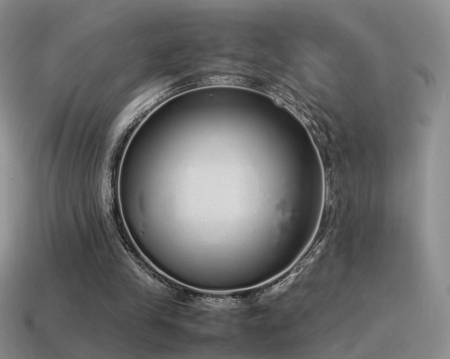 X0000115500245200911061333