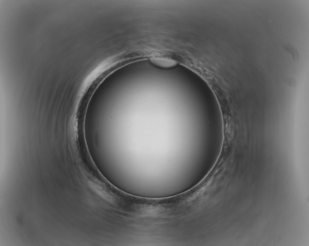 X0000115500246200911061333
