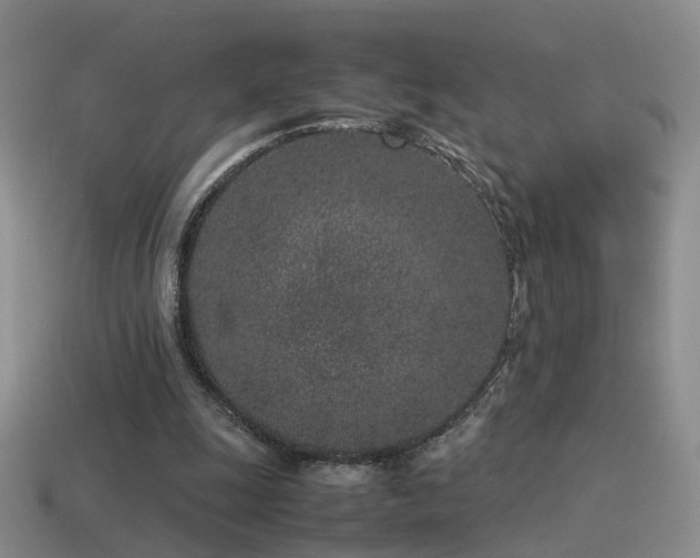 X0000115500247200911061333