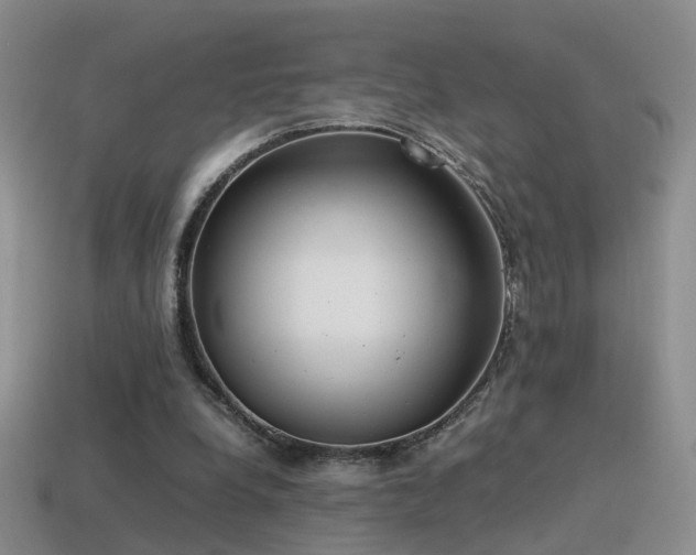 X0000115500248200911061333