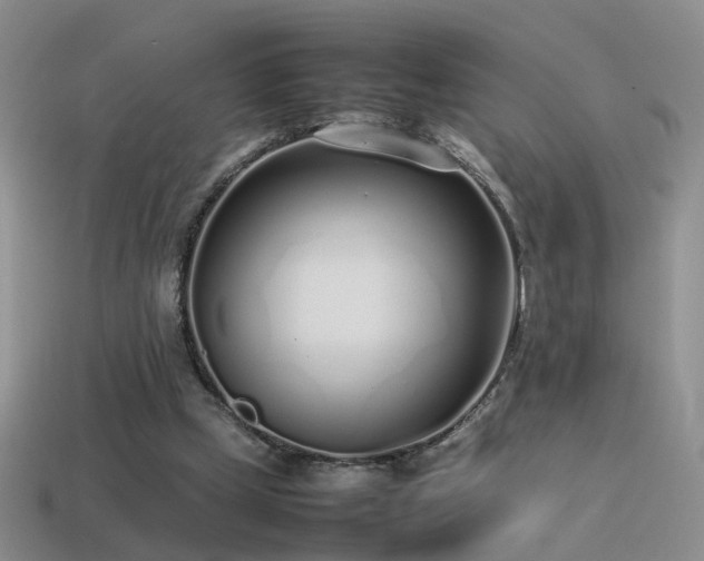 X0000115500249200911061333