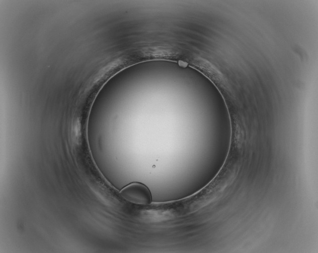 X0000115500251200911061333