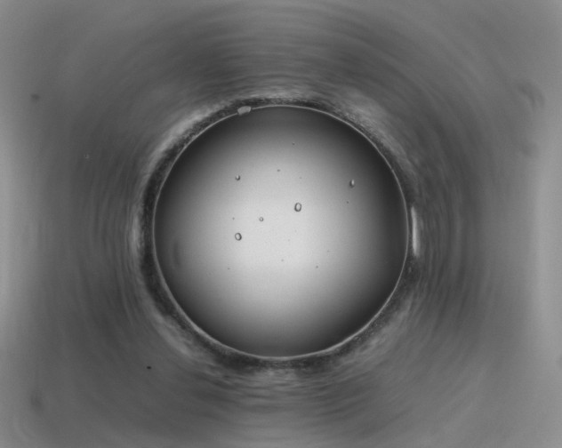 X0000115500252200911061333