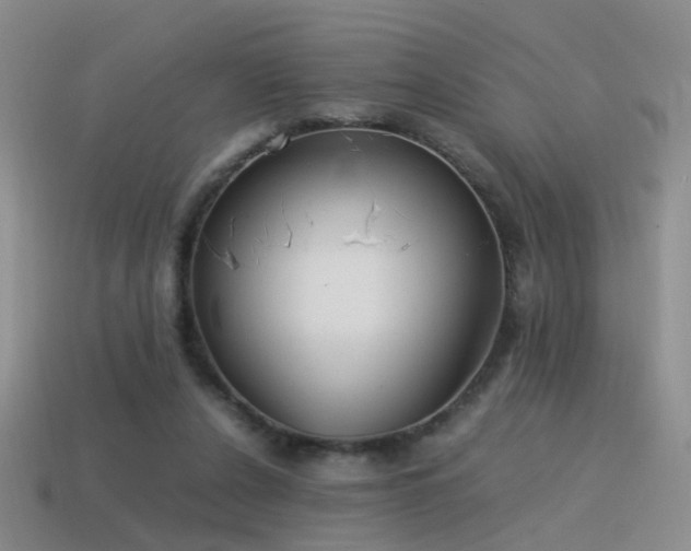 X0000115500256200911061333