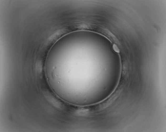 X0000115500257200911061333