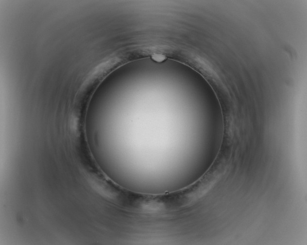 X0000115500258200911061333
