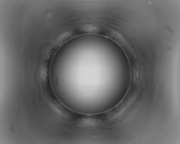 X0000115500259200911061333