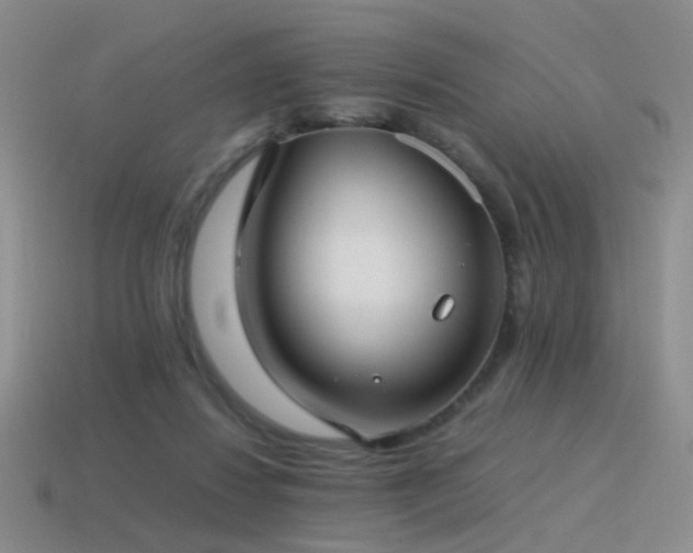 X0000115500260200911061333