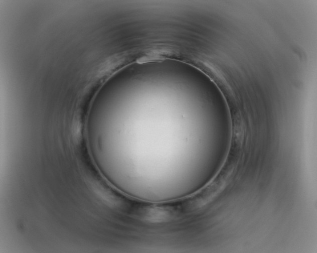 X0000115500261200911061333