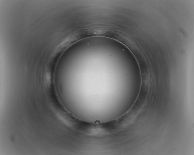 X0000115500262200911061333