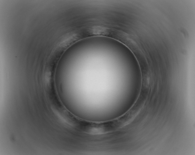 X0000115500263200911061333