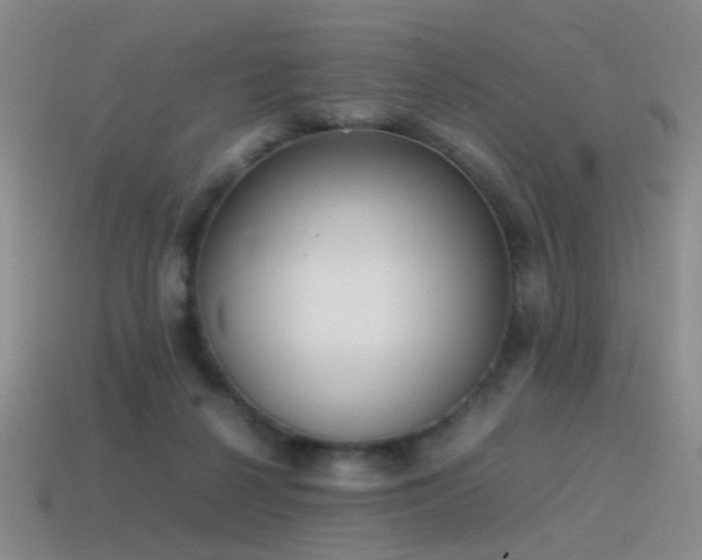 X0000115500264200911061333