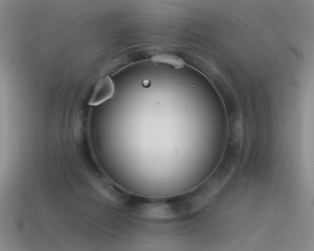 X0000115500266200911061333
