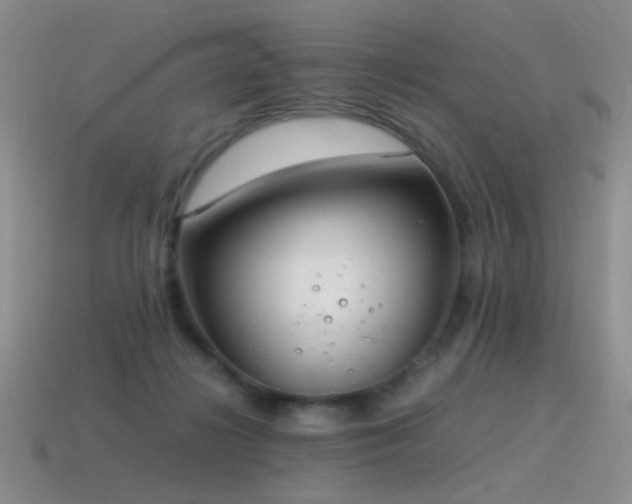 X0000115500268200911061333